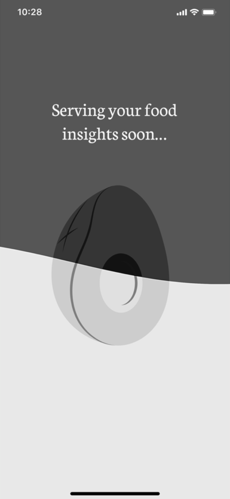 Low-fidelity loading screen that says Serving your food insights soon