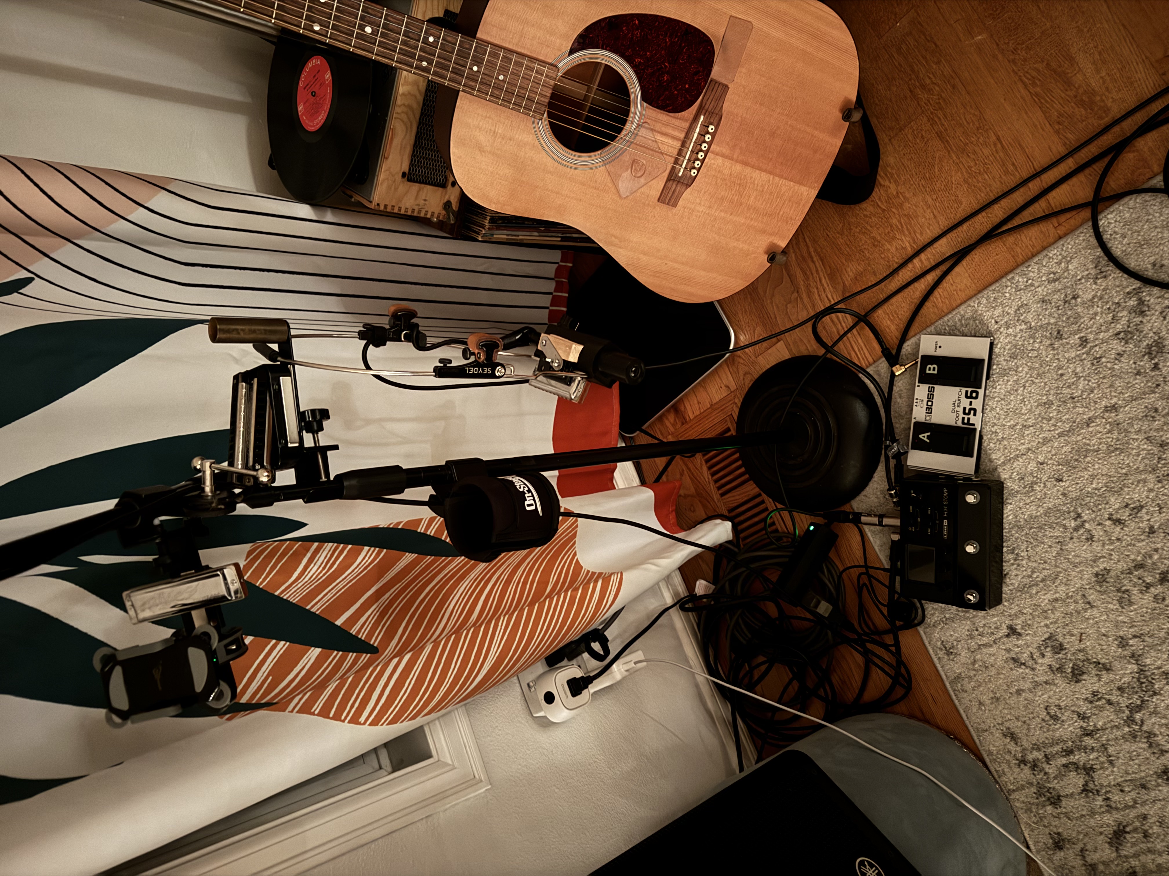 Full rig: harmonica, mic, and cable